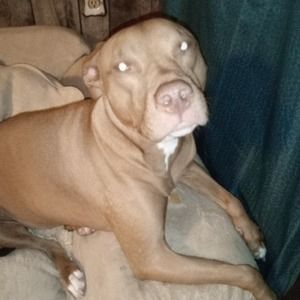 Meet your Posher, Terrence